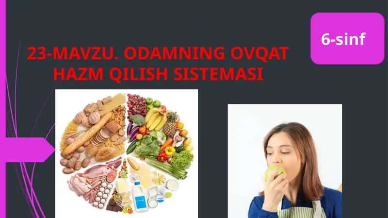 ODAMNING OVQATHAZM QILISH SISTEMASI