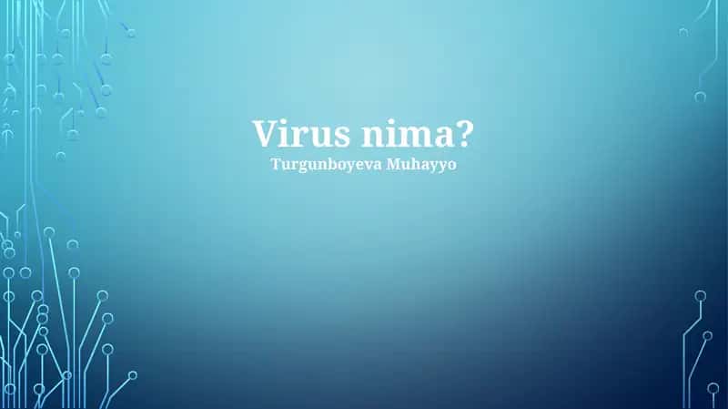 Virus nima?