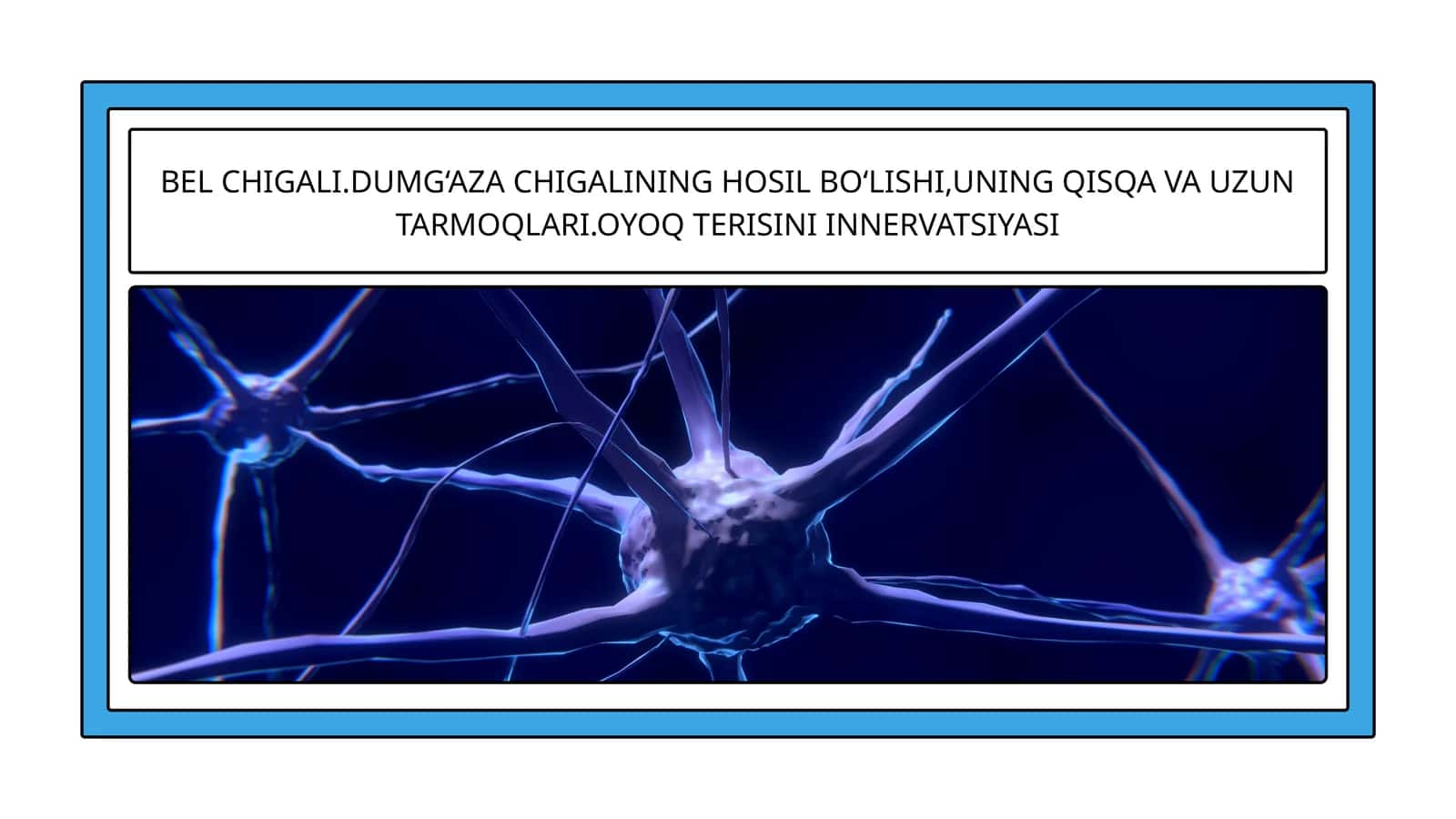 Bel chigali (Plexus lumbalis)