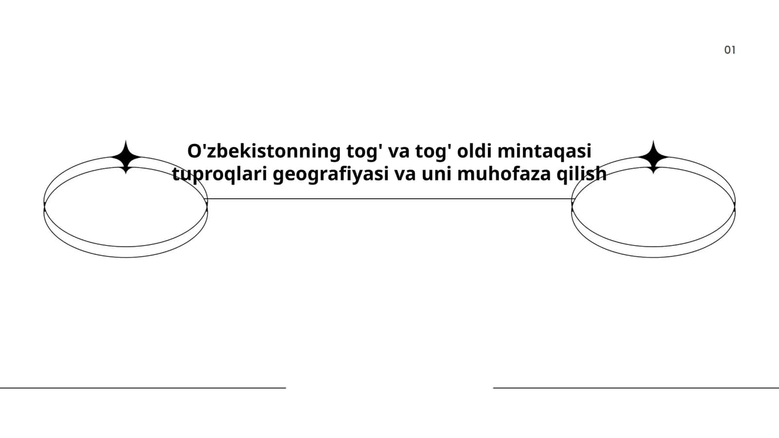 O'zbekistonning tog' va tog' oldi mintaqasi tuproqlari geografiyasi va uni muhofaza qilish