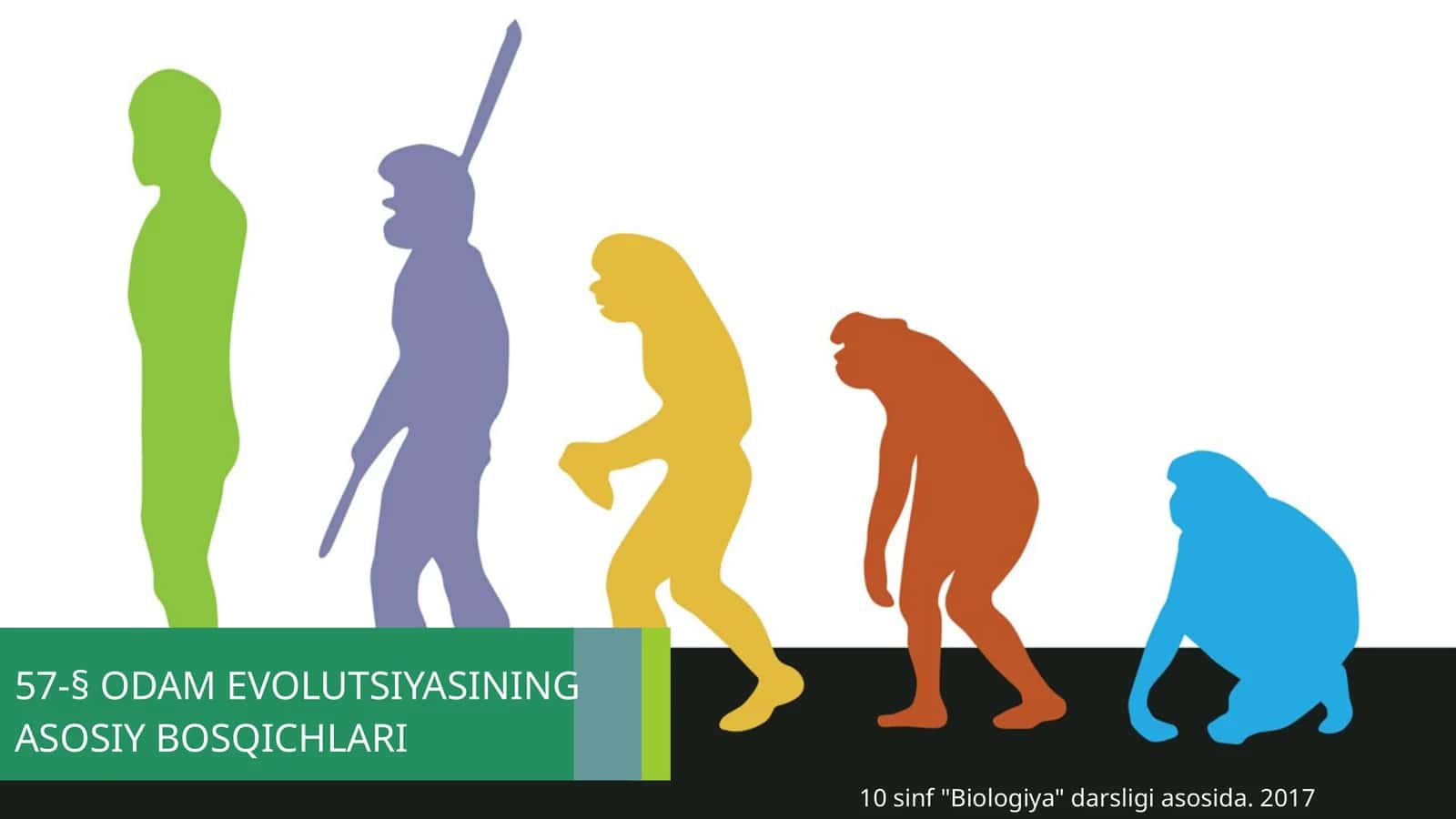 ODAM EVOLUTSIYASINING ASOSIY BOSQICHLARI