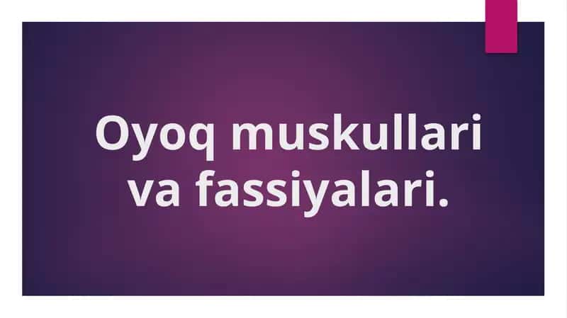 Oyoq muskullari va fassiyalari,Chanoq muskullari,son mushaklari, boldir mushaklari va panja mushaklari.