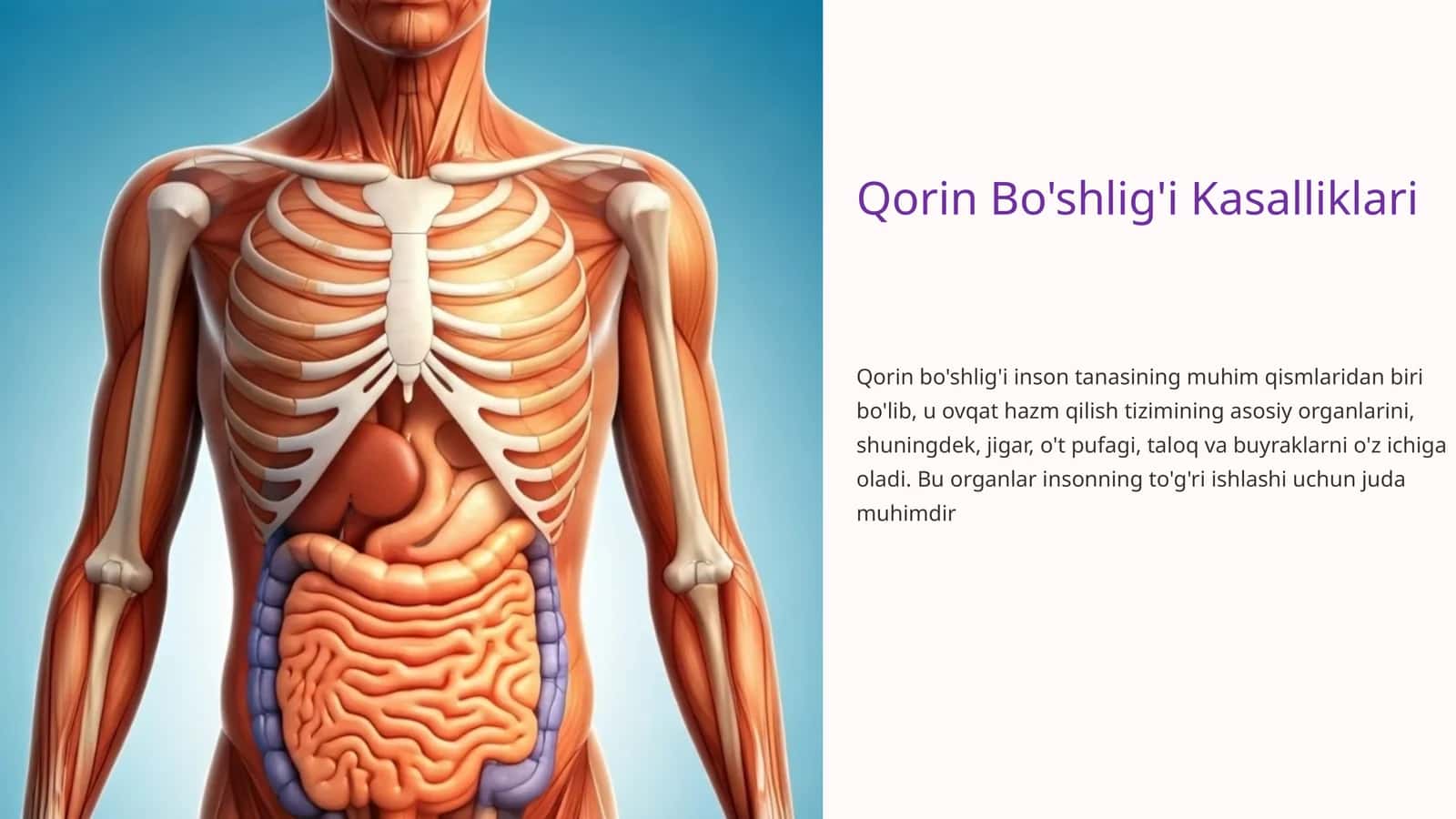 Qorin Bo'shlig'i Kasalliklari