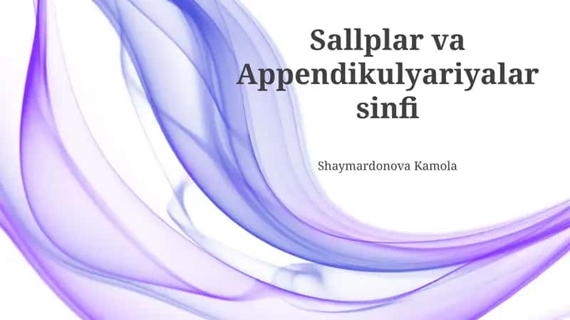 Sallplar va Appendikulyariyalar sinfi