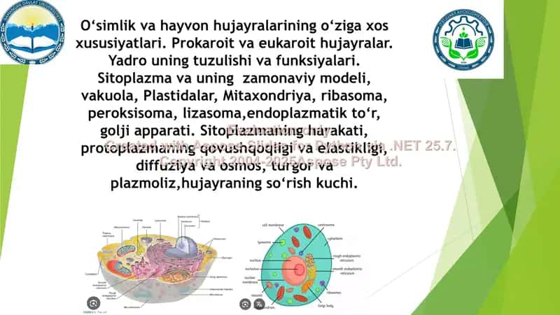 O‘simlik va hayvon hujayralarining tuzilishi va funksiyalari taqdimoti