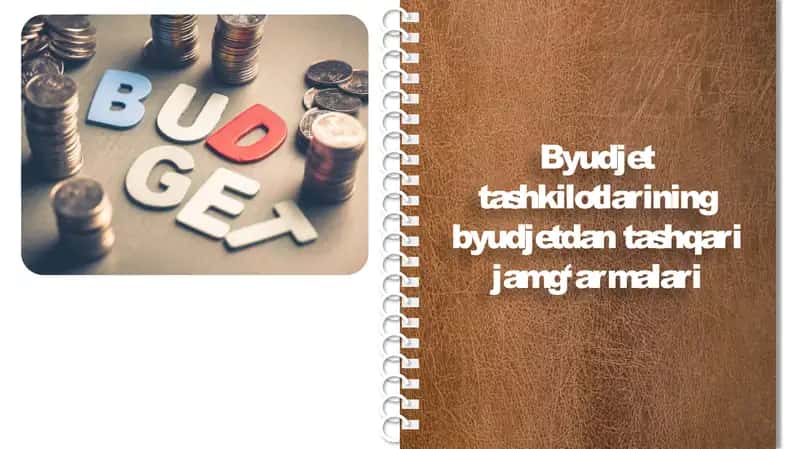 Byudjet tashkilotlarining byudjetdan tashqari jamg‘armalari