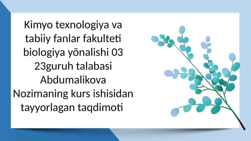 O‘zbekistonda tarqalgan suv qushlari, ularning tuzilishi va hayot kechirishi