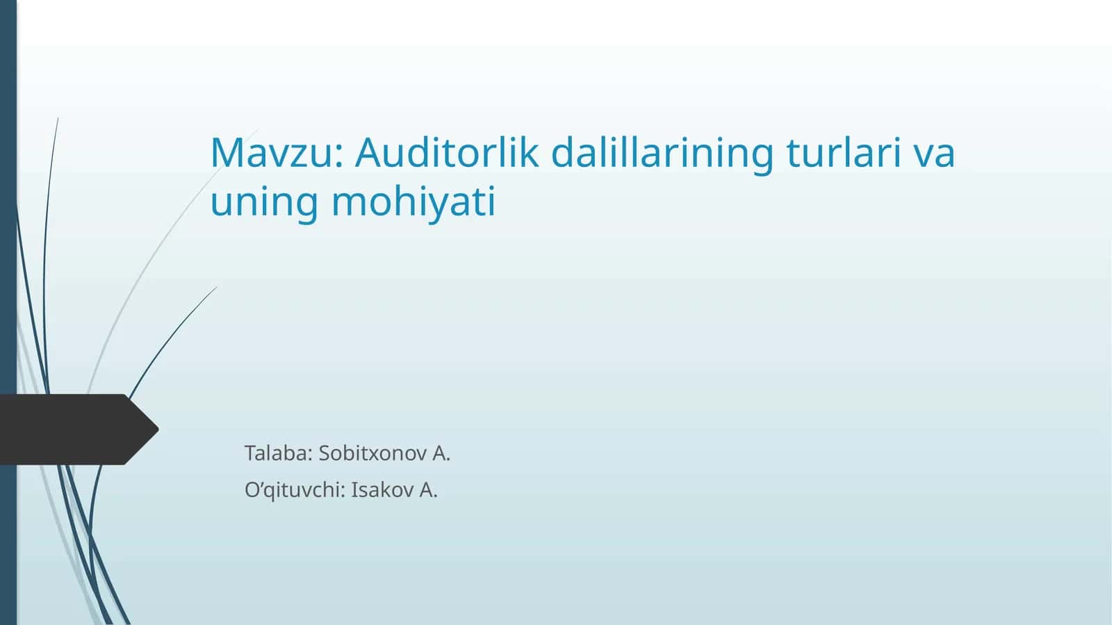 Auditorlik dalillari