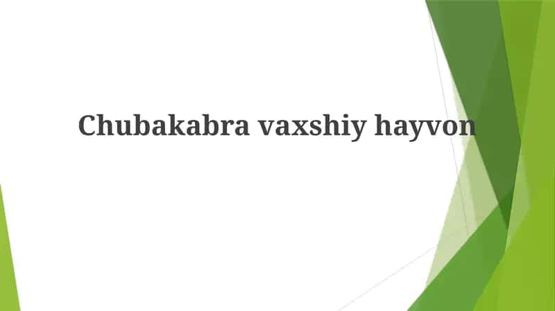 Chubakabravaxshiyhayvon