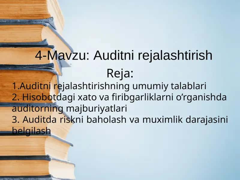 Auditni rejalashtirish