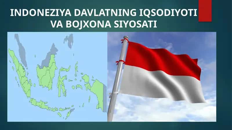INDONEZIYADAVLATNING IQSODIYOTI VA BOJXONA SIYOSATI