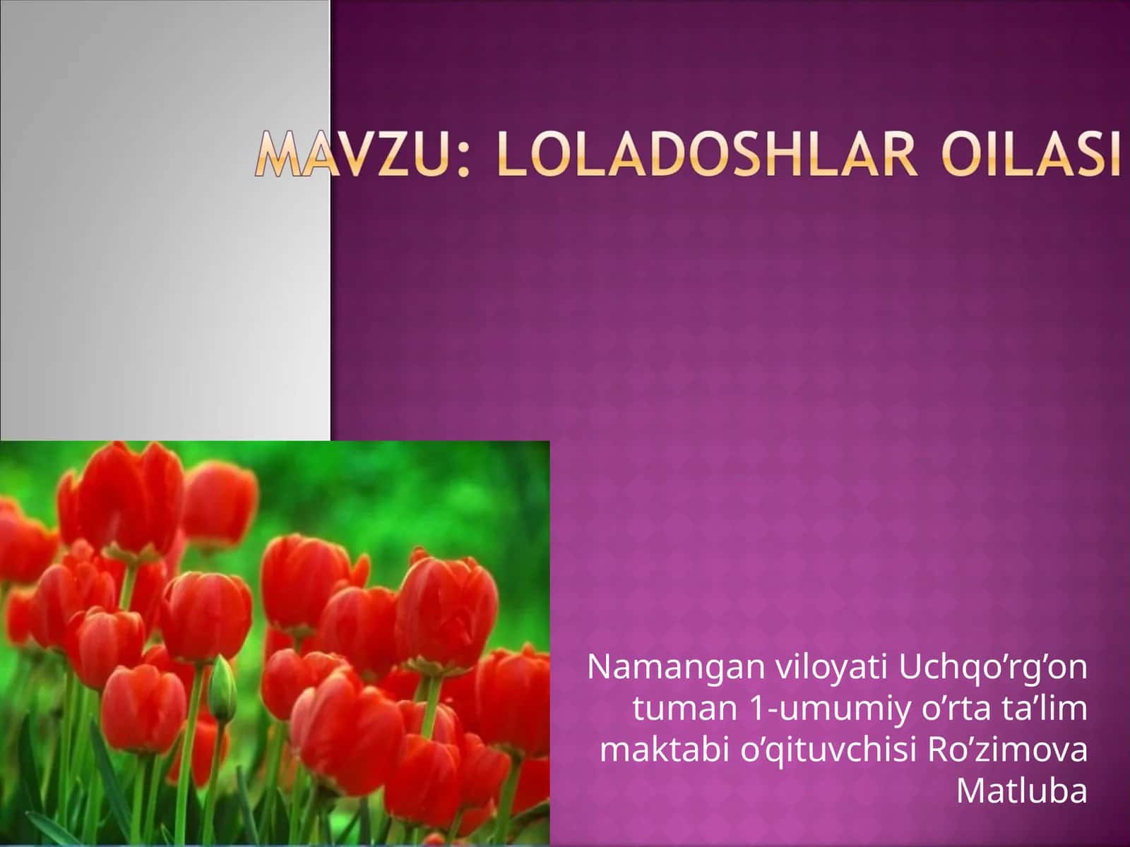 Loladoshlar oilasi