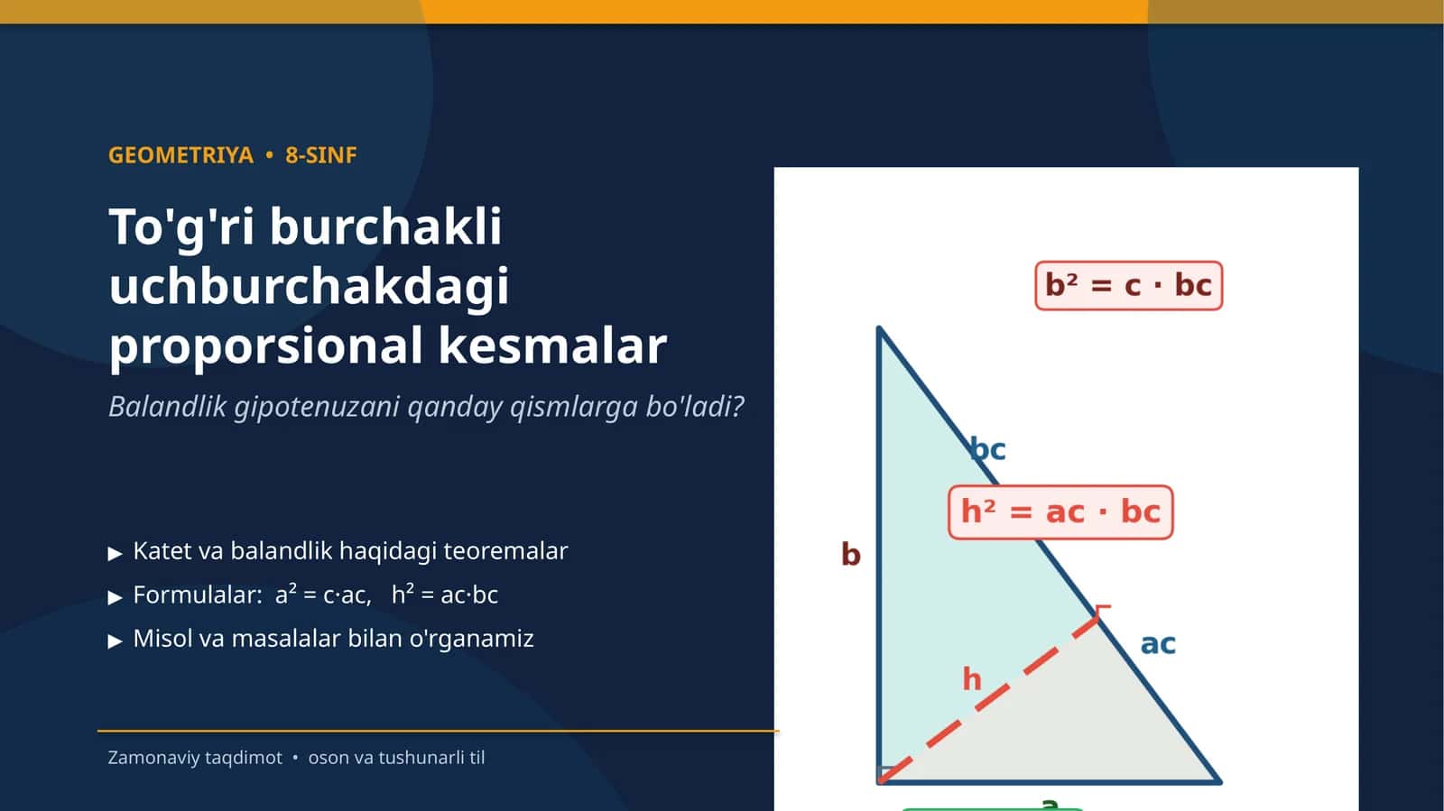 To'g'ri burchakli uchburchakdagi proporsional kesmalar