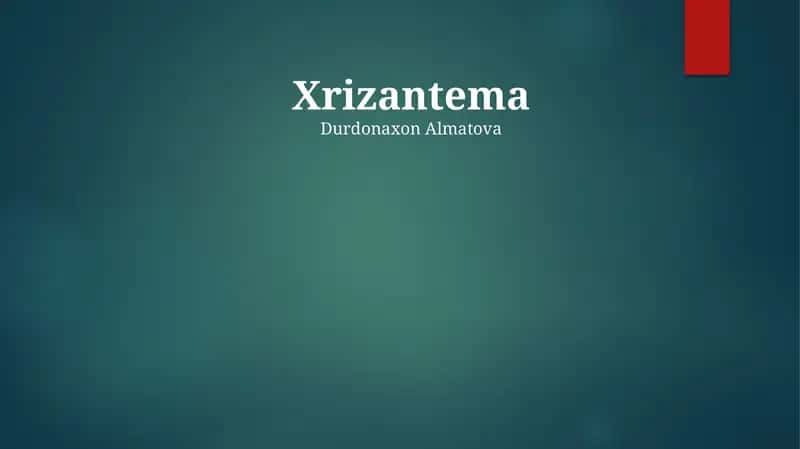 Xrizantema