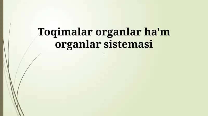 Toqimalar organlar ha'm organlar sistemasi