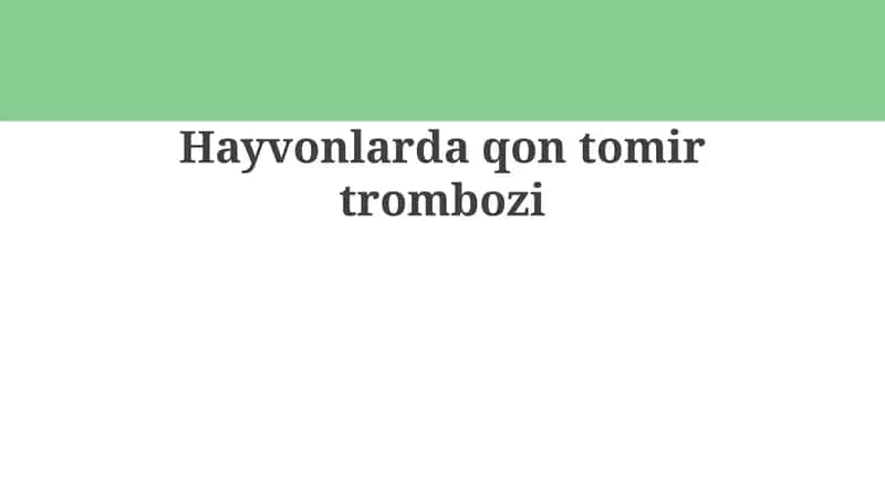 Hayvonlarda qon tomir trombozi