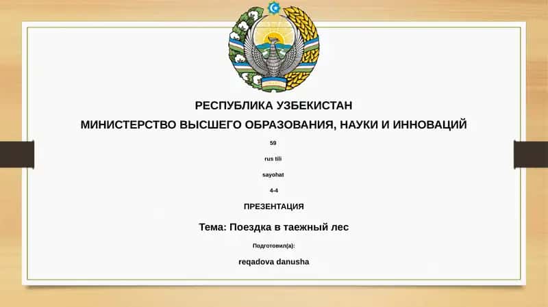 Поездка в таежный лес