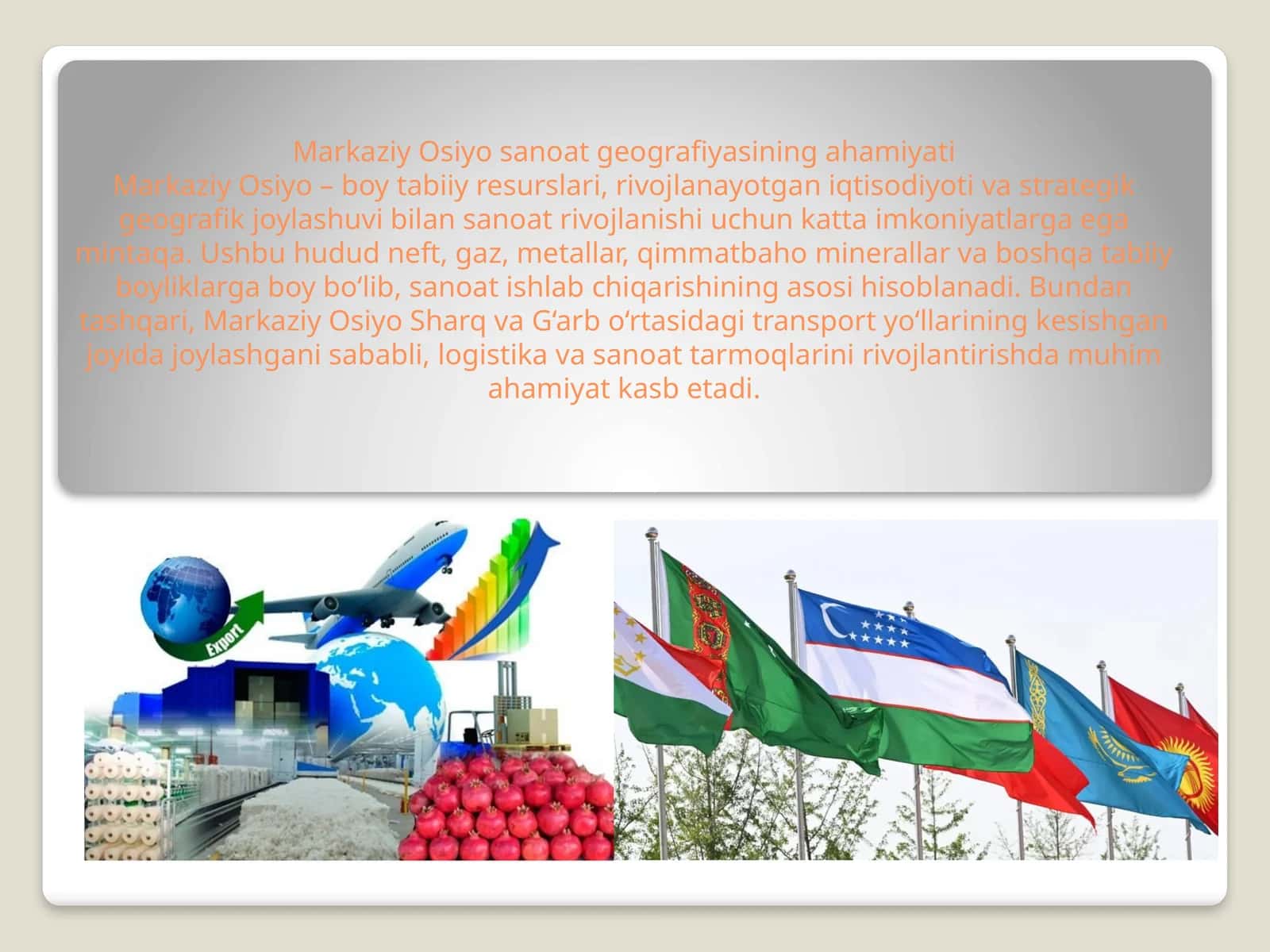 Markaziy Osiyo sanoat geografiyasining ahamiyati