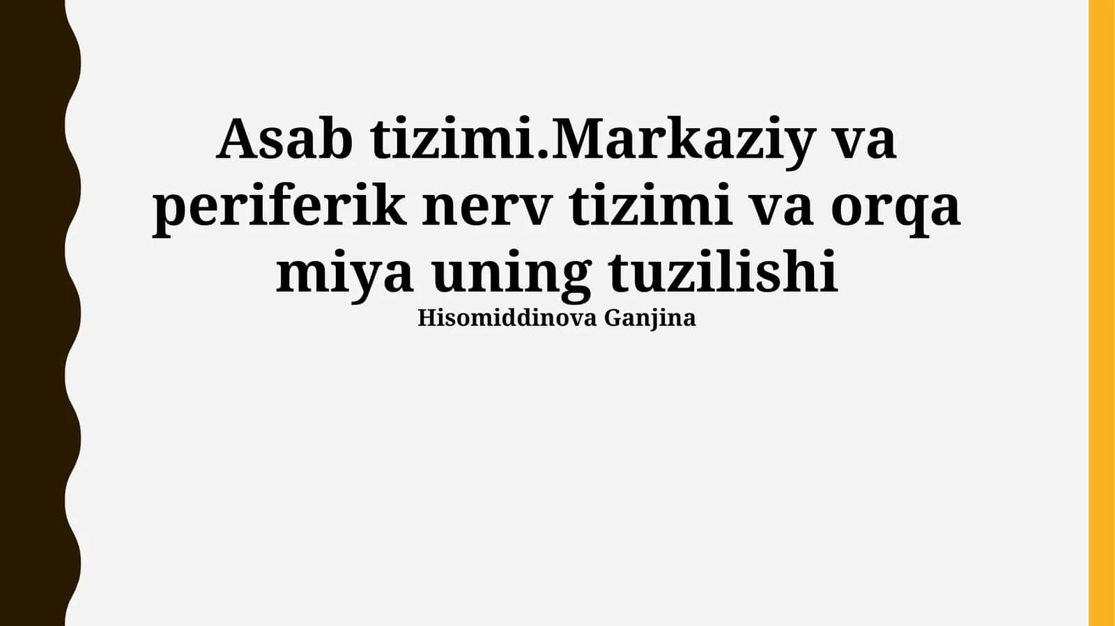 Asab tizimi.Markaziy va periferik nerv tizimi va orqa miya uning tuzilishi