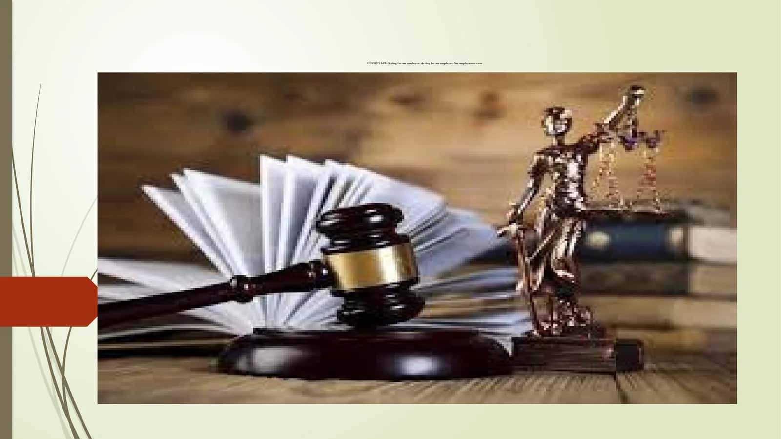 LESSON 2.28. Acting for an employee. Acting for an employer. An employment case
