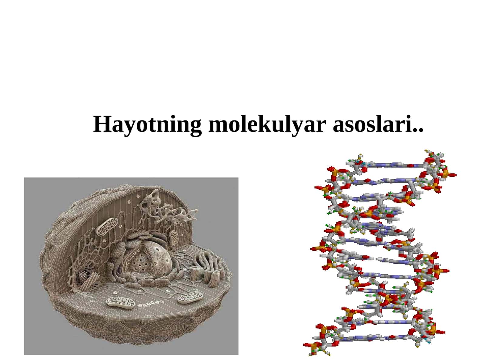 Hayotning molekulyar asoslari