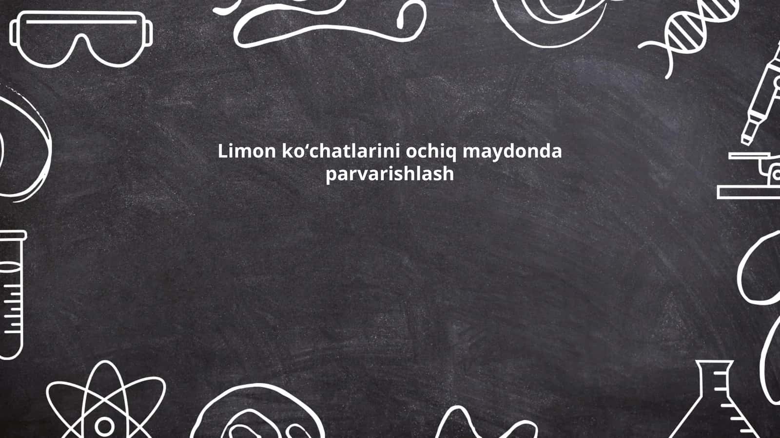 Limon koʻchatlarini ochiq maydonda parvarishlash