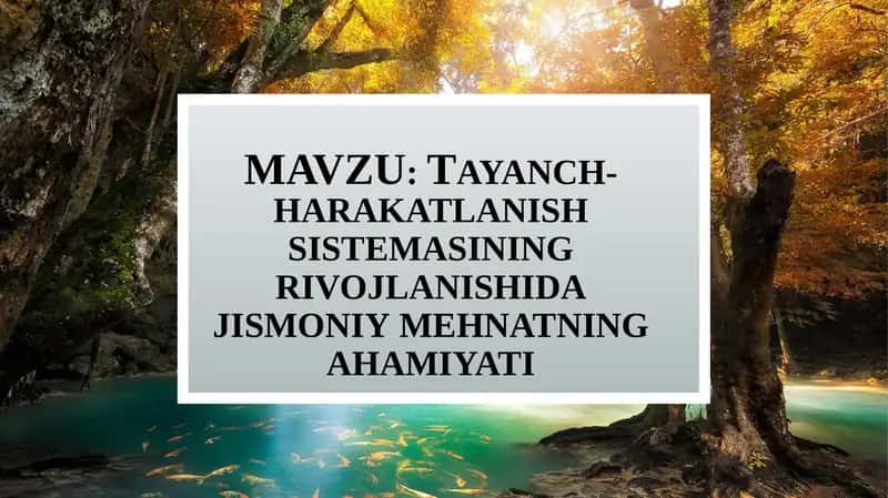 Tayanch-harakatlanish sistemasining rivojlanishi va jismoniy mehnatning ahamiyati