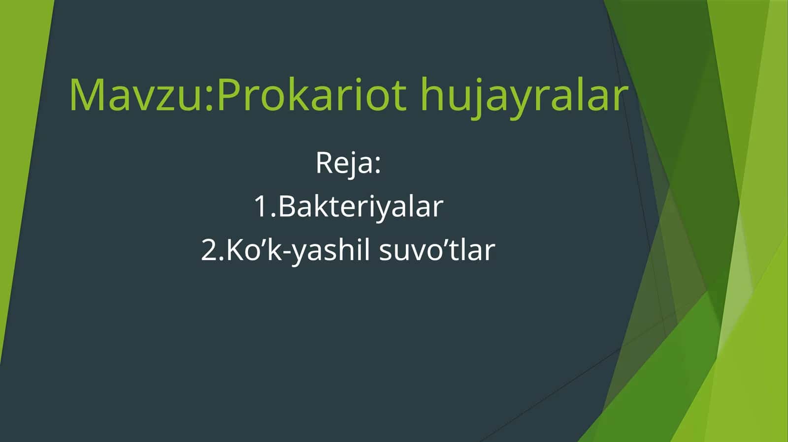 Prokariothujayralar