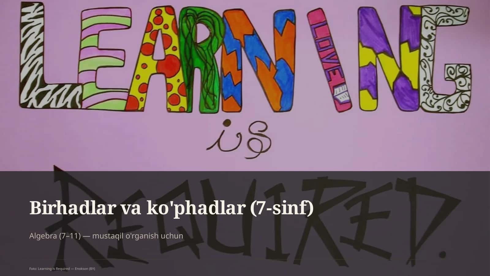 Birhadlar va ko'phadlar (7-sinf)