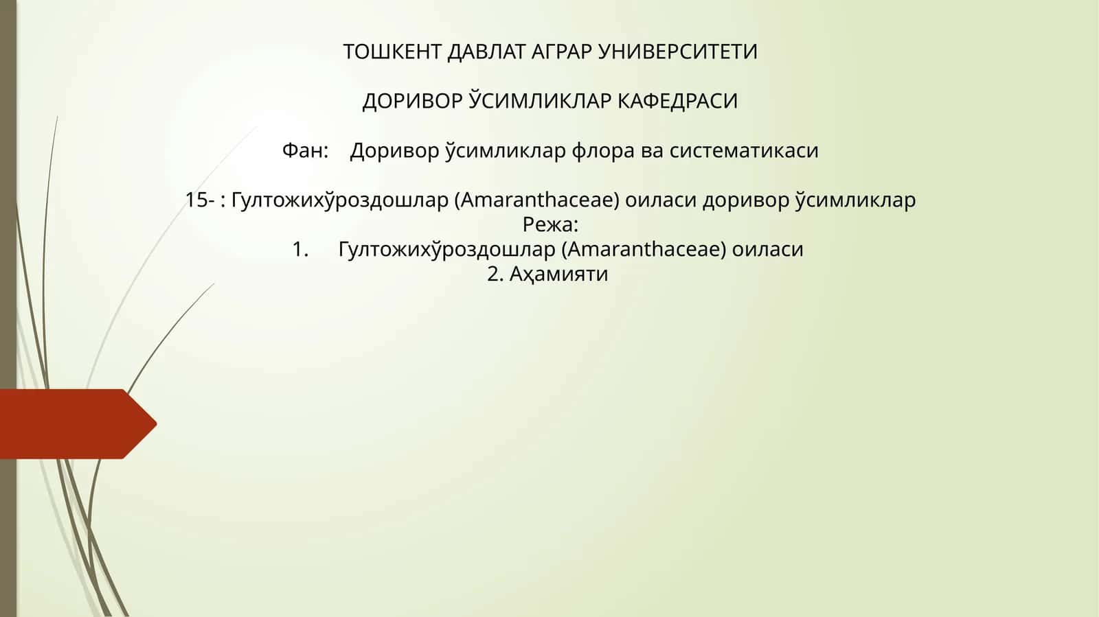 Гултожихўроздошлар (Amaranthaceae) оиласи