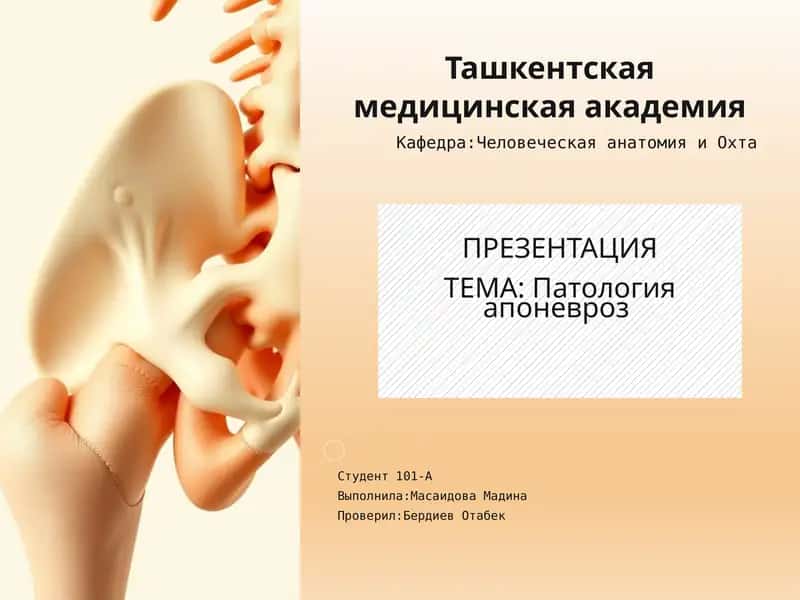 Патология апоневроз