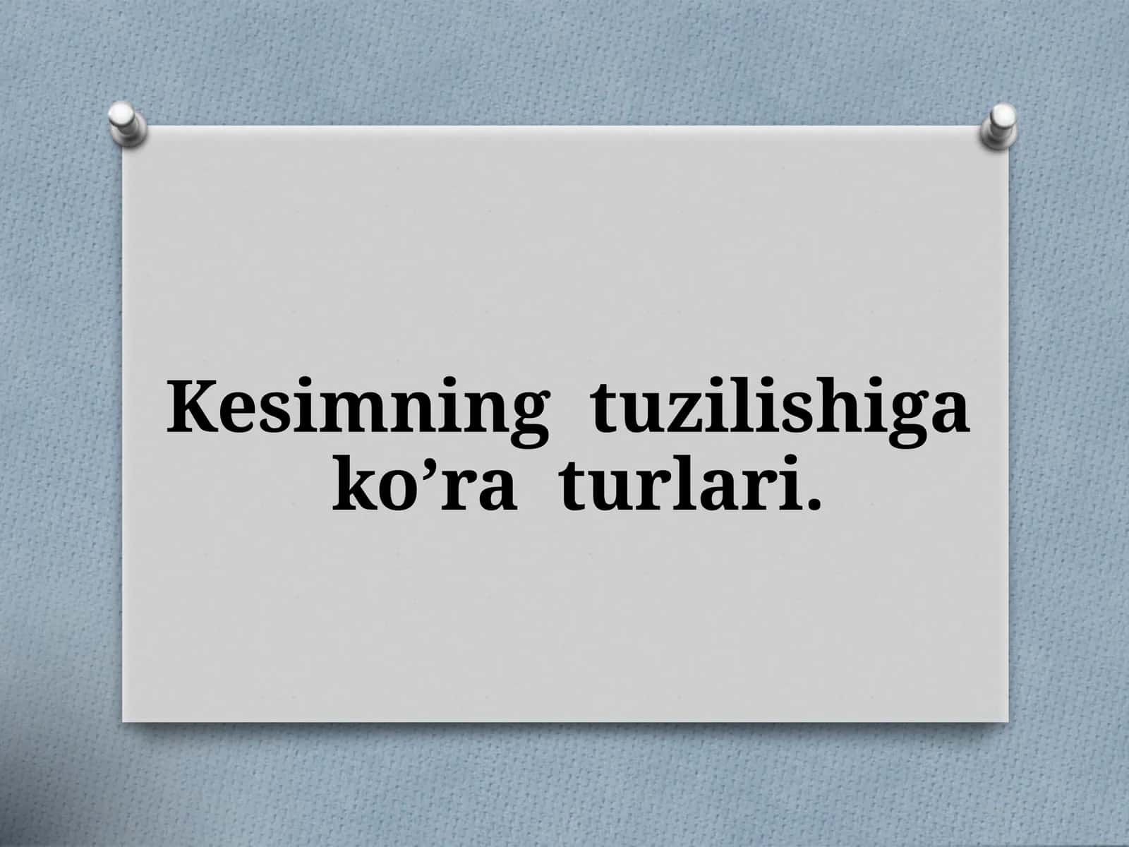 Kesimning tuzilishi va ko’raturlari