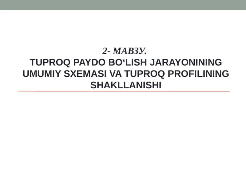 Tuproq paydo bo‘lish jarayonining umumiy sxemasi va tuproq profilining shakllanishi