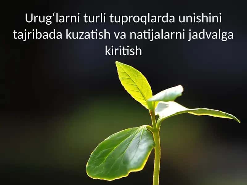 Urug‘larni turlash