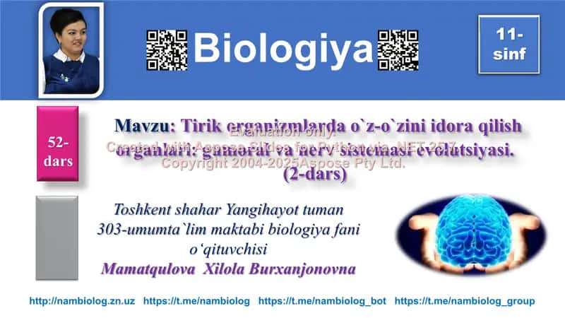 Tirik organizmlarda o`z-o`zini idora qilish organlari: gumoral va nerv sistemasi evolutsiyasi (2-dars)