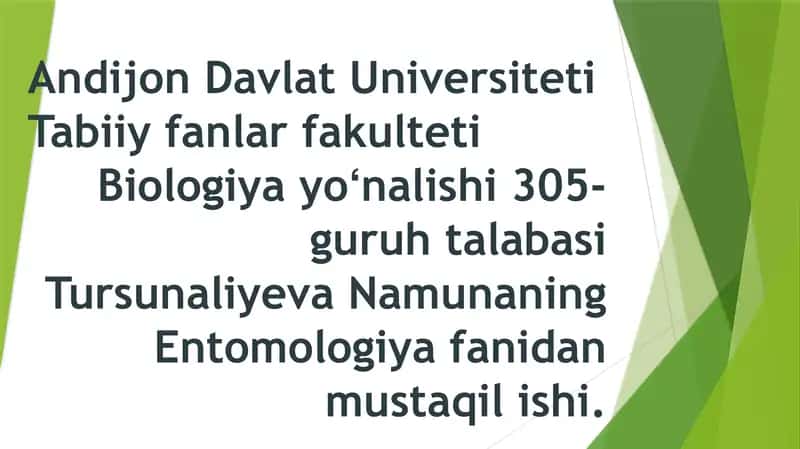 Entomologiya fanidan mustaqil ish
