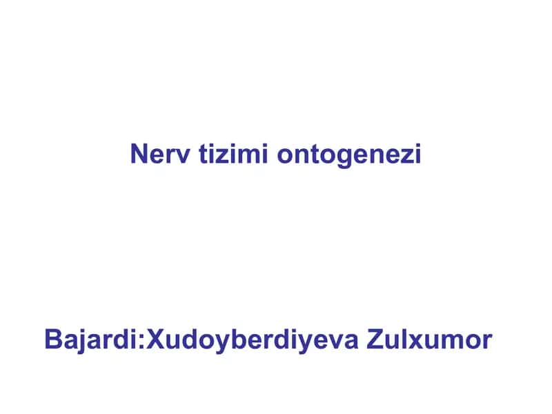 Nerv tizimi ontogenezi