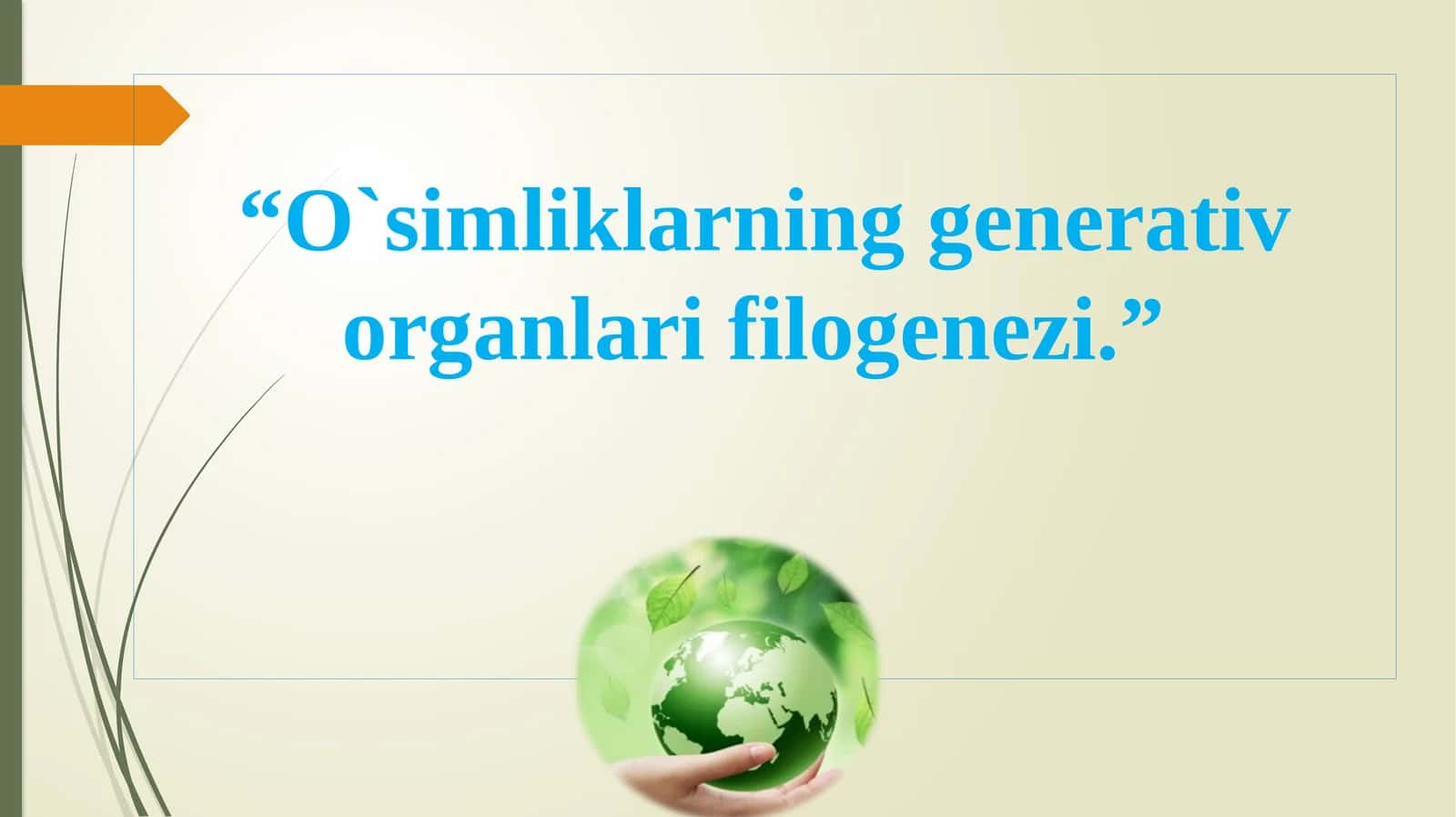 O`simliklarning generativ organlari filogenezi