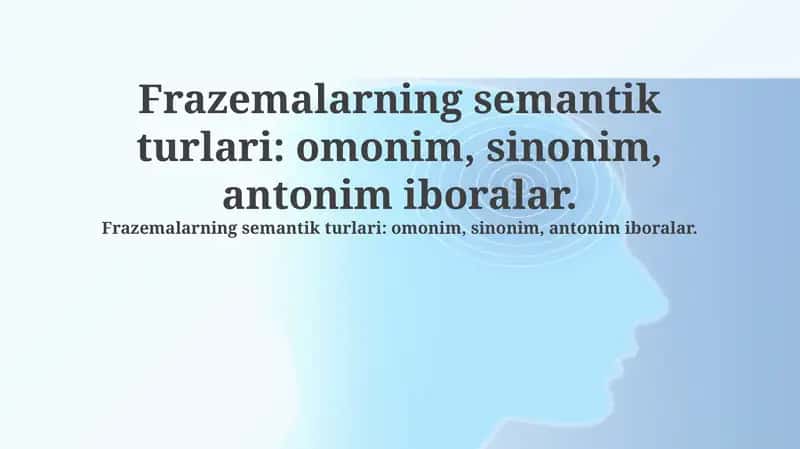 Frazeologizmlar