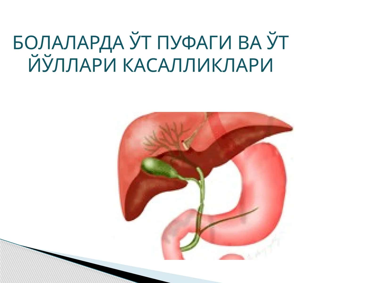 Ўт пуфаги касалликлари