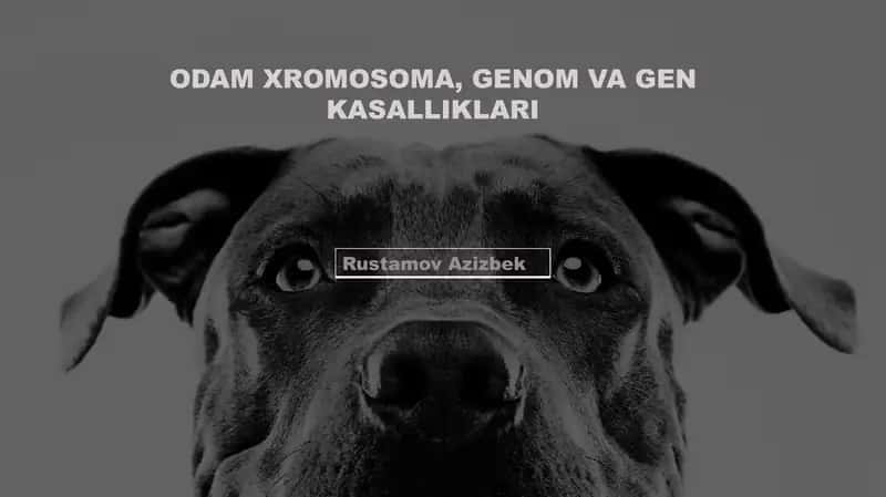 Odam xromosoma, genom va gen kasalliklari