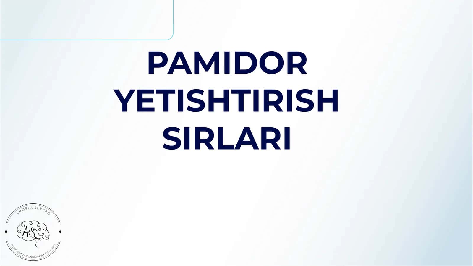 Pamidor Yetishtirish Sirlari