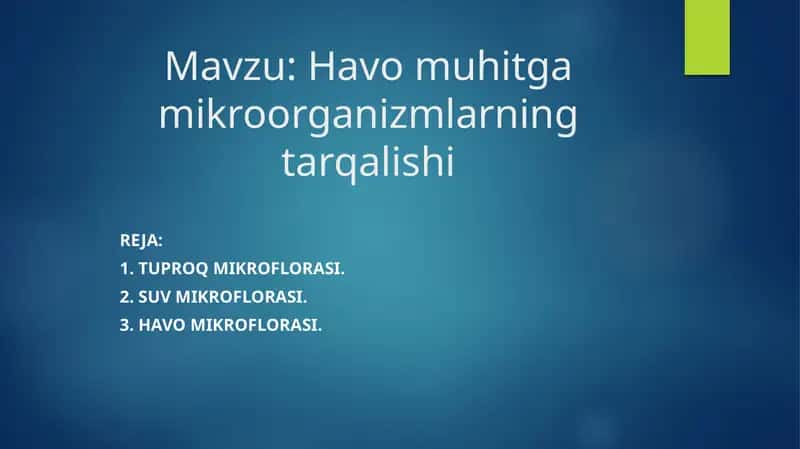Tuproq mikroflorasi
