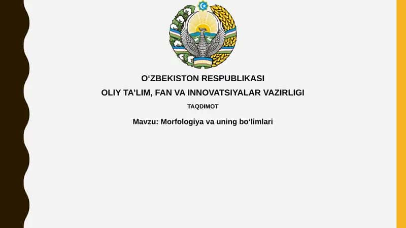 Morfologiyavauningboʻlimlari