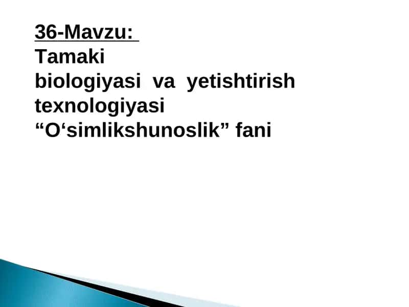 Tamaki biologiyasi va yetishtirish texnologiyasi