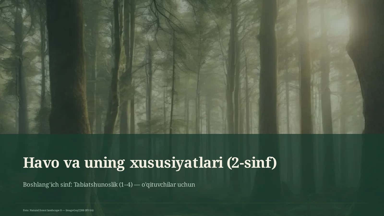 Havo va uning xususiyatlari (2-sinf)