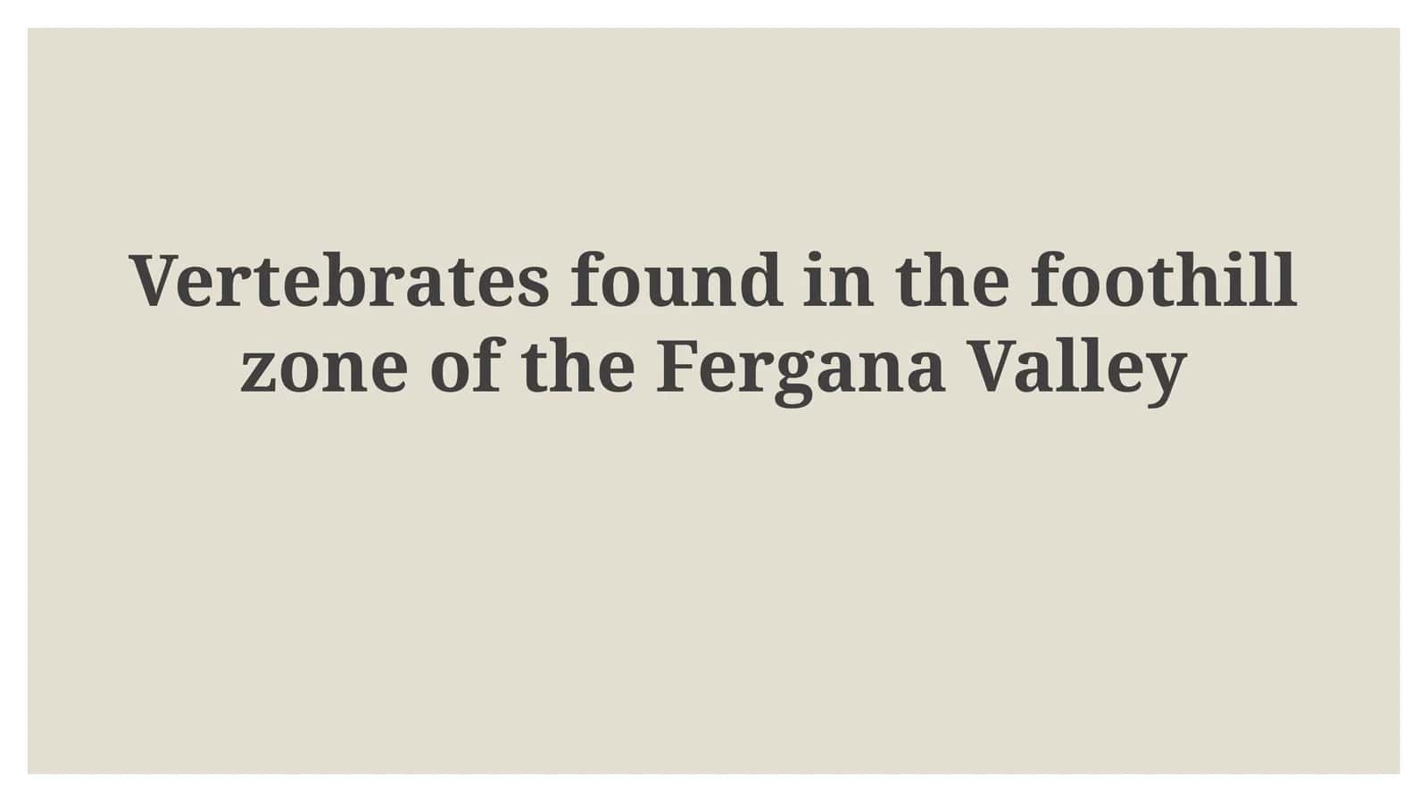Vertebrates found in the foothill zone of the Fergana Valley