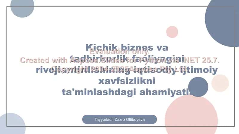 Kichik biznes va tadbirkorlik tushunchasi va mohiyati