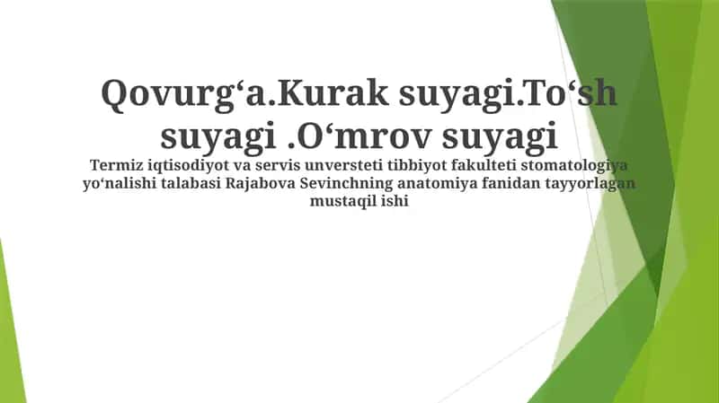Qovurg'alar (Ribs)