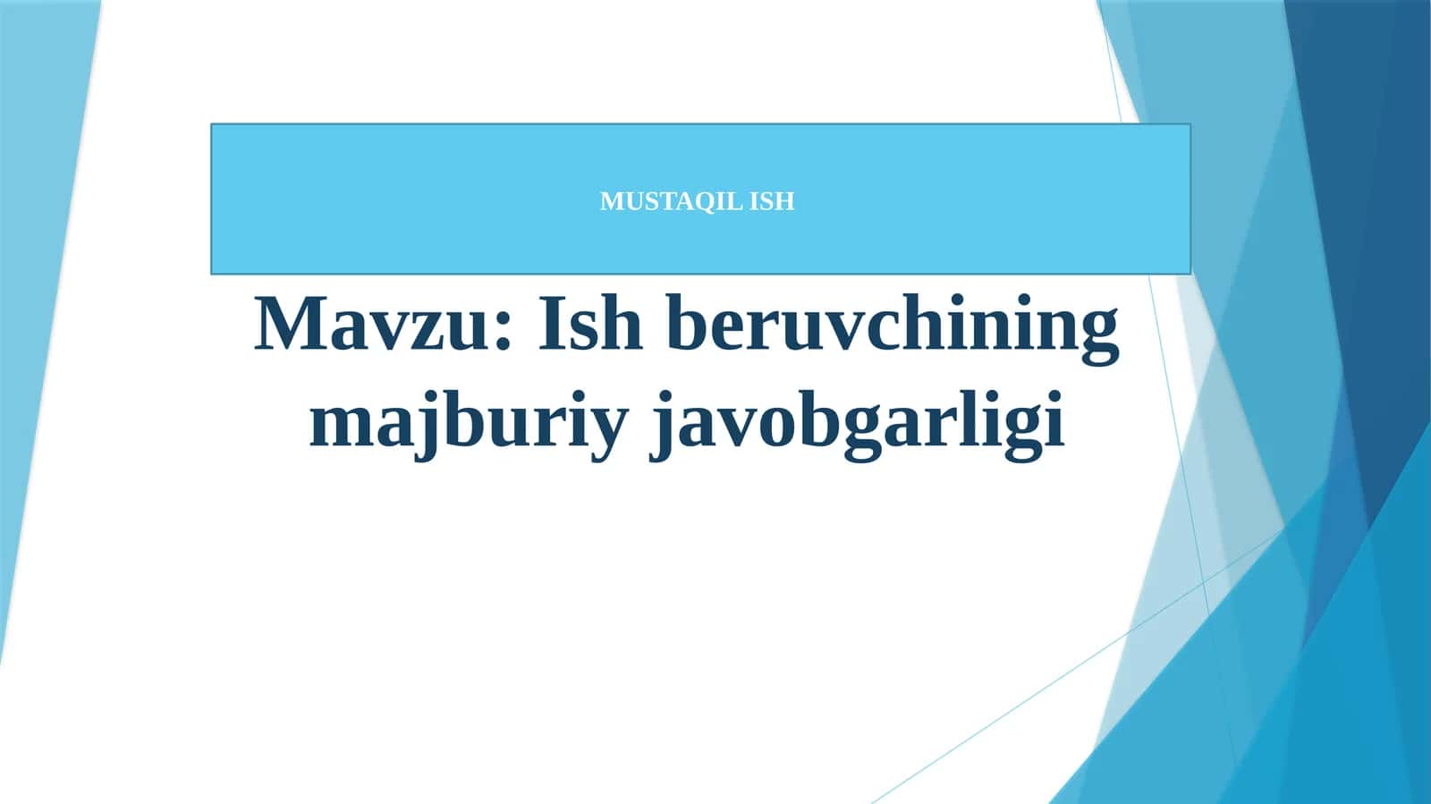 Ish beruvchining majburiy javobgarligi
